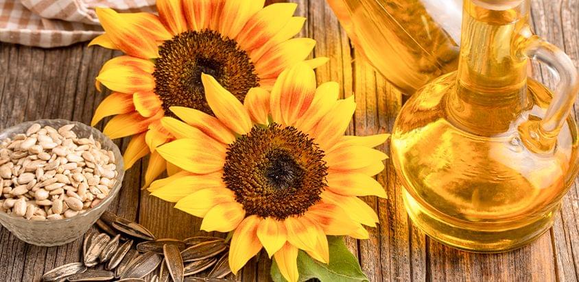 Sunflower Oil